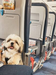 WhatsApp Image 2026-03-31 at 12.56.02